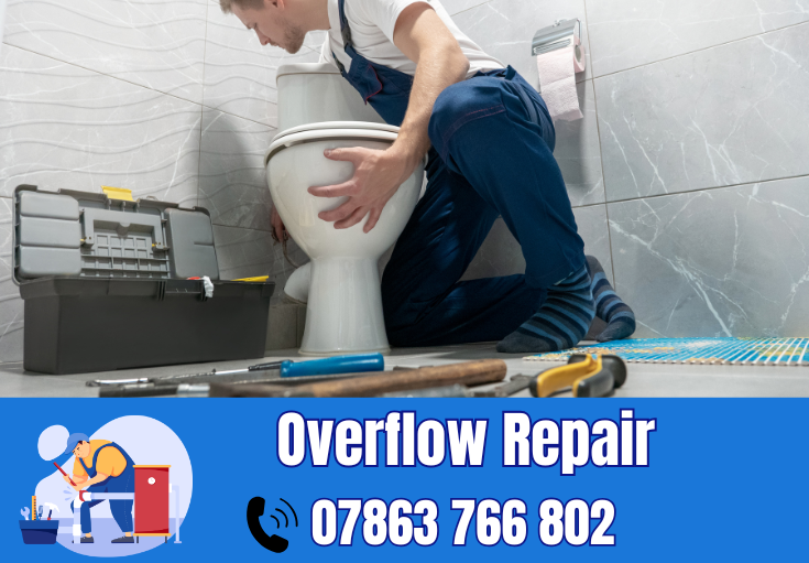 overflow repair Hale