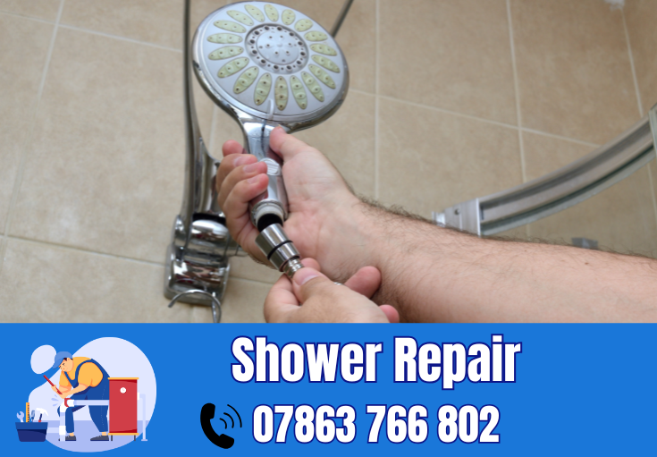 shower repair Hale